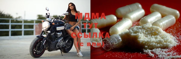 индика Аркадак