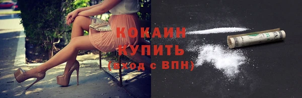 индика Аркадак
