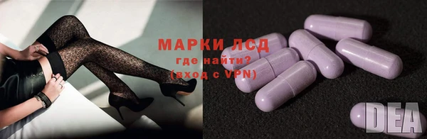 индика Аркадак