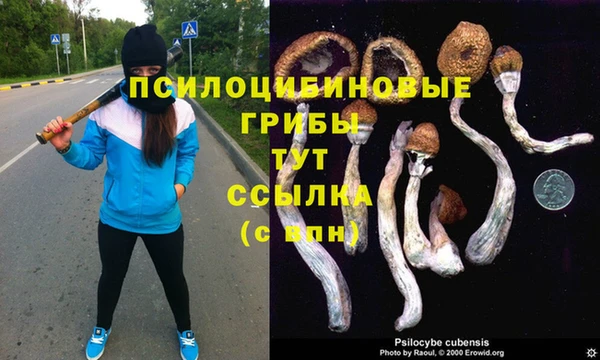 синтетический гашиш Арсеньев