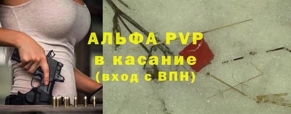 индика Аркадак